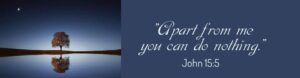 Read more about the article Hope for the Weary